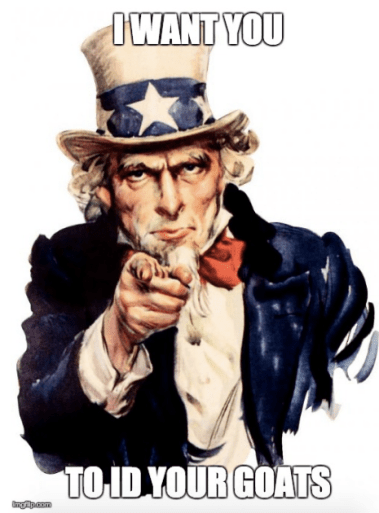 Screen Shot 2020-01-17 at 17.49.07