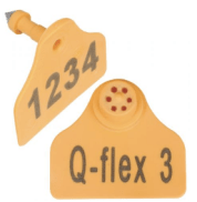 Screen Shot 2020-01-17 at 18.50.11