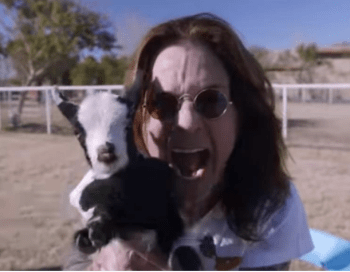 Screen Shot 2020-01-19 at 16.56.28